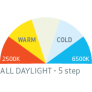 all-daylight-5-steps (1).png
