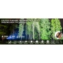 20.webp